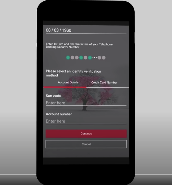 HSBC paroles ievades piemērs