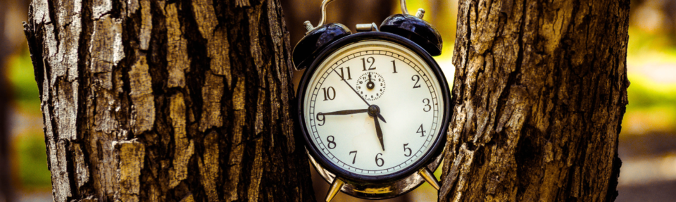 Kā sniegt labāko reāllaika klientu atbalstu 2025. gadā