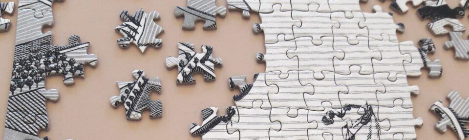 Kāpēc jums vajadzētu integrēt programmatūru?