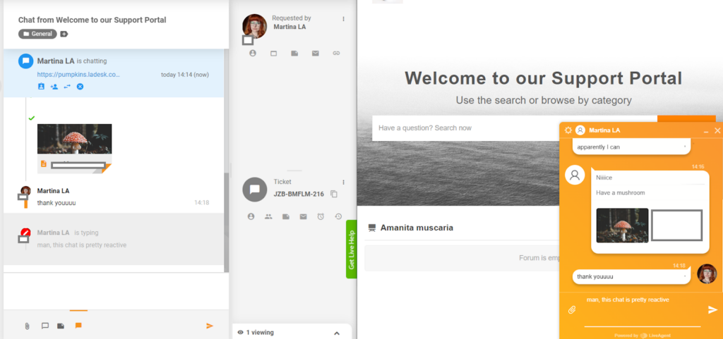 LiveAgent - reālā laika rakstīšanas priekskats