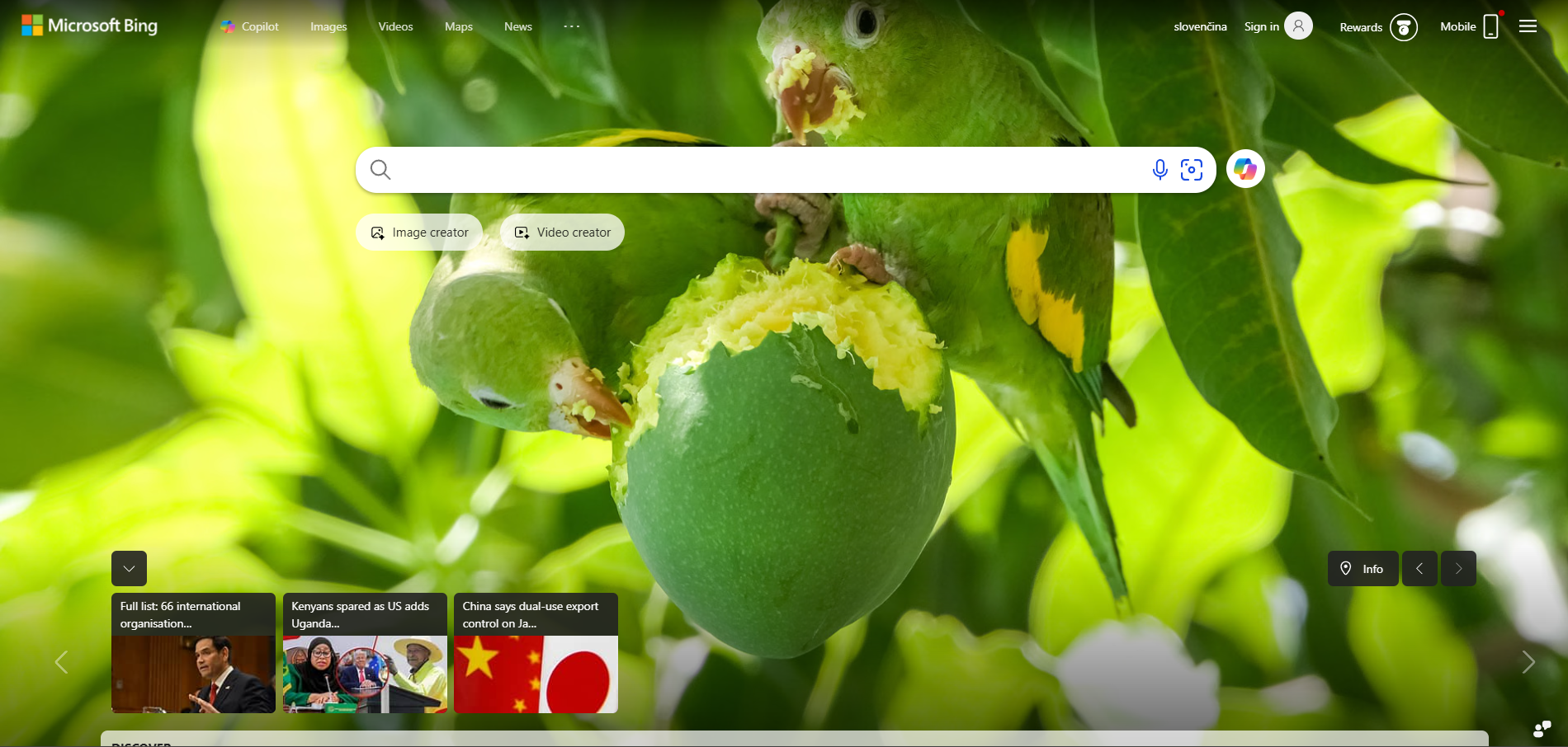 Bing palīdzības biroja kontakti