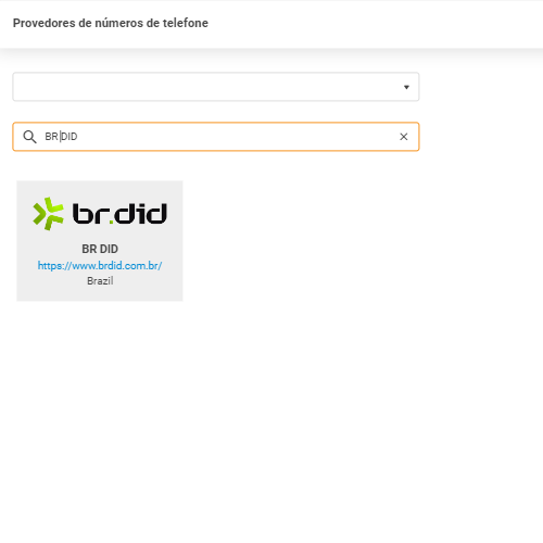 BR DID pakalpojumu sniedzējs