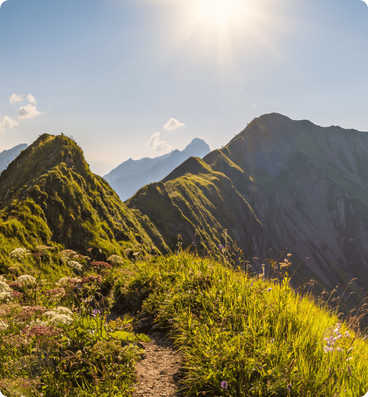 Kā ZlavaDna uzlaboja klientu atbalstu ar LiveAgent